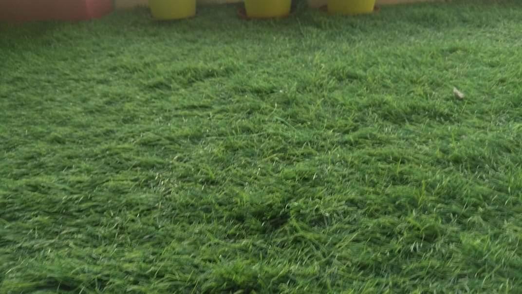 45mm High Density Artificial Turf Mat / Grass Carpet Mat - (6.5ft x 2ft)