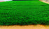 50mm High Density High Detex Ultra Soft and Lushy Premium Artificial Turf Mat / Grass Carpet Mat - (6.5ft x 1ft)