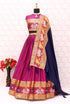 Beautifully designed narayanpet lehenga(unstiched blouse))17005N - Griiham