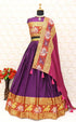 Beautifully designed narayanpet lehenga(unstiched blouse))17005N - Griiham