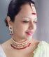 Designer colored stones choker Necklace set with tikka